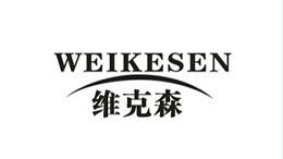 维克森电子