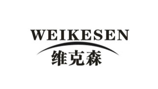 维克森电子